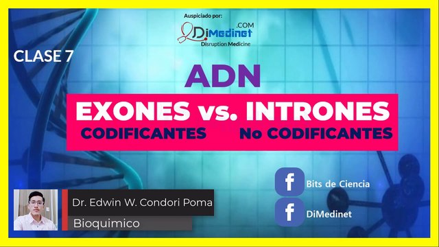✅ 7. GENES CODIFICANTES (EXONES) y NO CODIFICANTES (INTRONES) ▶ BIOLOGIA MOLECULAR