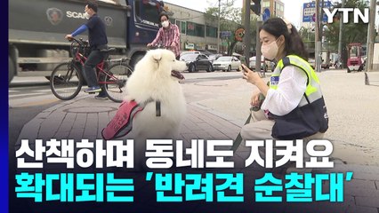 산책하며 동네도 지켜요...확대되는 '반려견 순찰대' / YTN