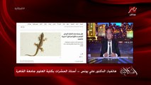 غير ايد المقشة ..اعرف ازاي تقتل البرص بطريقة عملية؟ .. د. علي يونس أستاذ الحشرات بعلوم القاهرة