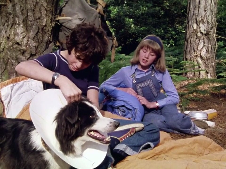 Fünf Freunde Staffel 1 Folge 11 HD Deutsch