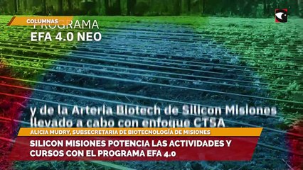 SILICON MISIONES POTENCIA LAS ACTIVIDADES Y CURSOS CON EL PROGRAMA EFA 4.0