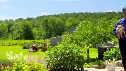 Dog Hollywood - Vom Streuner zum Star Staffel 1 Folge 2 HD Deutsch