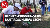 Voluntarios de Arca Continental reforestan con 2,500 pinos en Santiago, Nuevo León