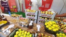 جولة في مهرجان بدائع أكبر سوق تين في السعودية مهرجان تين القصيم في محافظة البدائع