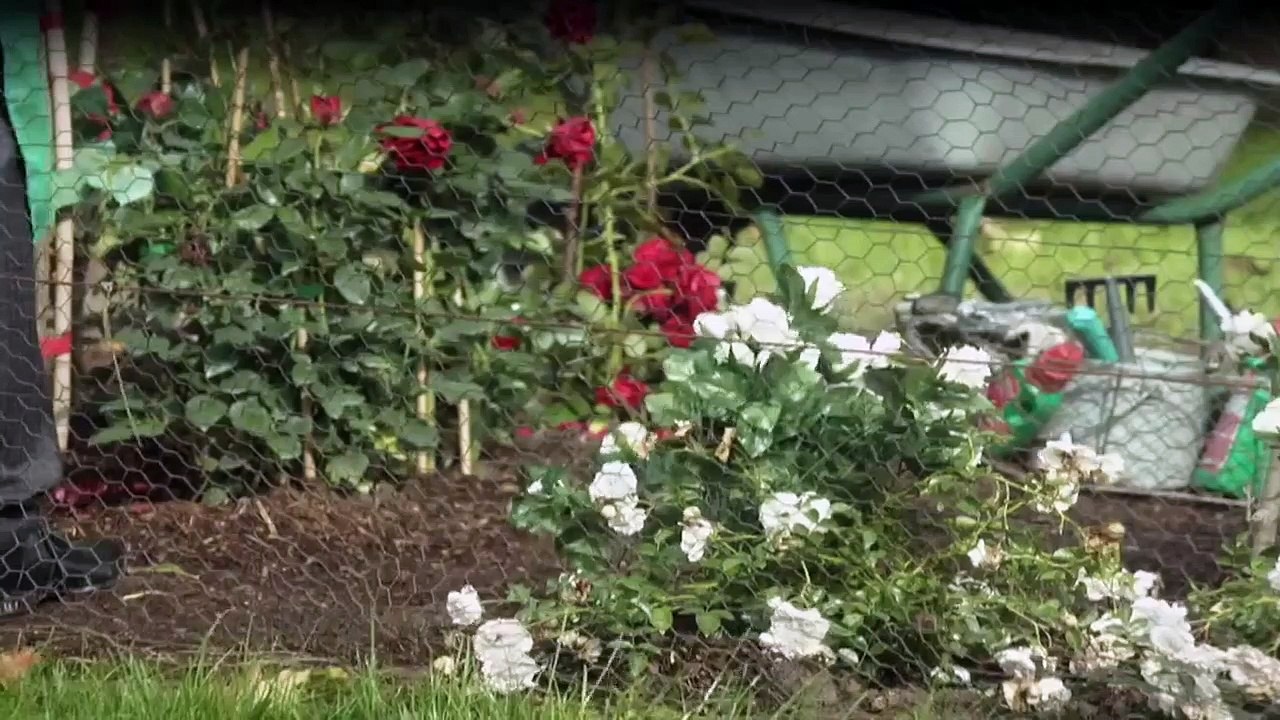 Heldt Staffel 3 Folge 10 HD Deutsch