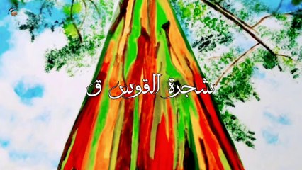 ظاهرة غريبة حدثت في صحراء أتاكاما الأكثر جفافا في العالم