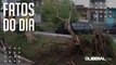 Tempestade derruba árvores e destelha casas na Grande Belém nesta sexta-feira (30)