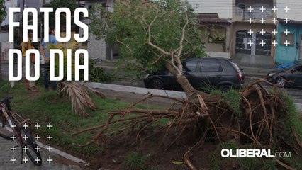 Tempestade derruba árvores e destelha casas na Grande Belém nesta sexta-feira (30)