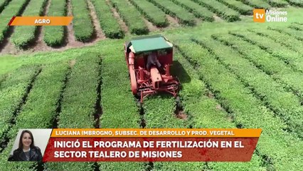 Inició el programa de fertilización en el sector tealero de Misiones