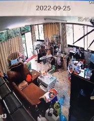 Snake envoie une femme et un chien courir - Buzz Buddy