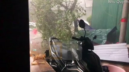 Les vents à grande vitesse de la tempête noru au vietnam - Buzz Buddy