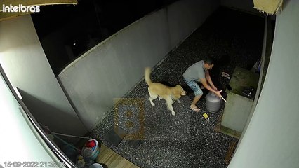 Une vanne cassée provoque une fuite de gaz - Buzz Buddy