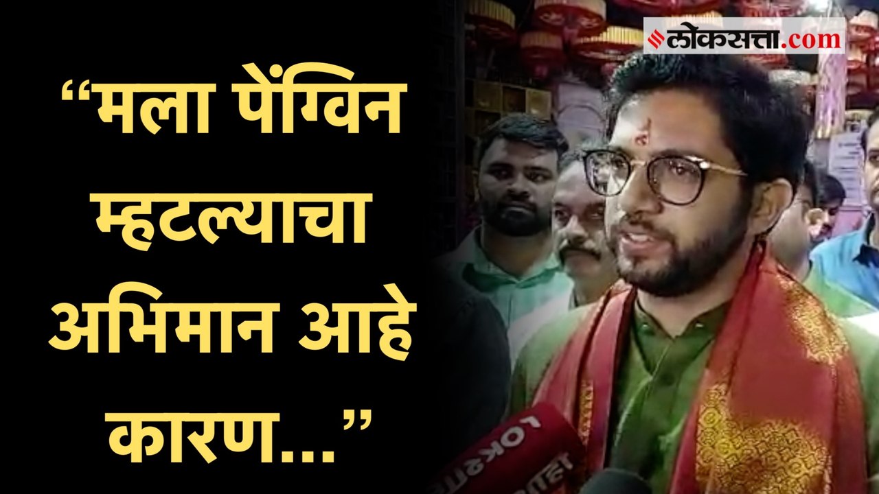 शिवसेनेची भूमिका स्पष्ट करताना विरोधकांबद्दल आदित्य ठाकरे म्हणतात...