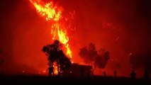 Adıyaman’da orman yangını çıktı, havadan müdahale ediliyor