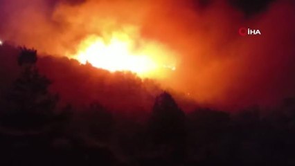 Elektrik tellerinden çıkan kıvılcım orman yangınına neden oldu: Havadan ve karadan müdahale sürüyor