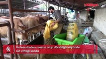 Üniversiteden mezun olup döndüğü köyünde süt çiftliği kurdu