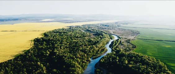 Mission Spitfire Bande-annonce (EN)