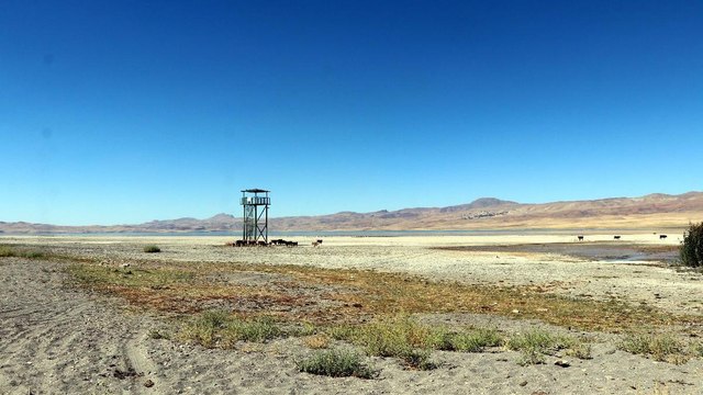 Van Gölü’nde tehlike çanları çalıyor: ‘Ekosistemleri de kaybediyoruz’