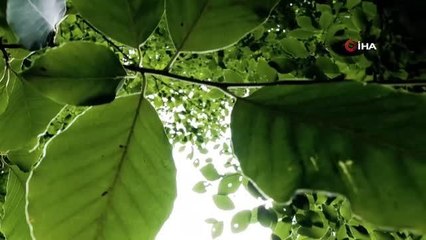 Bursa haberleri: 47. Uluslararası İnegöl Mobilya Fuarı ziyaretçilere açılacak