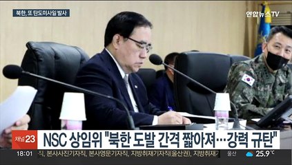 북한 '국군의날'에 탄도미사일 2발 발사 '도발'…NSC "개탄"