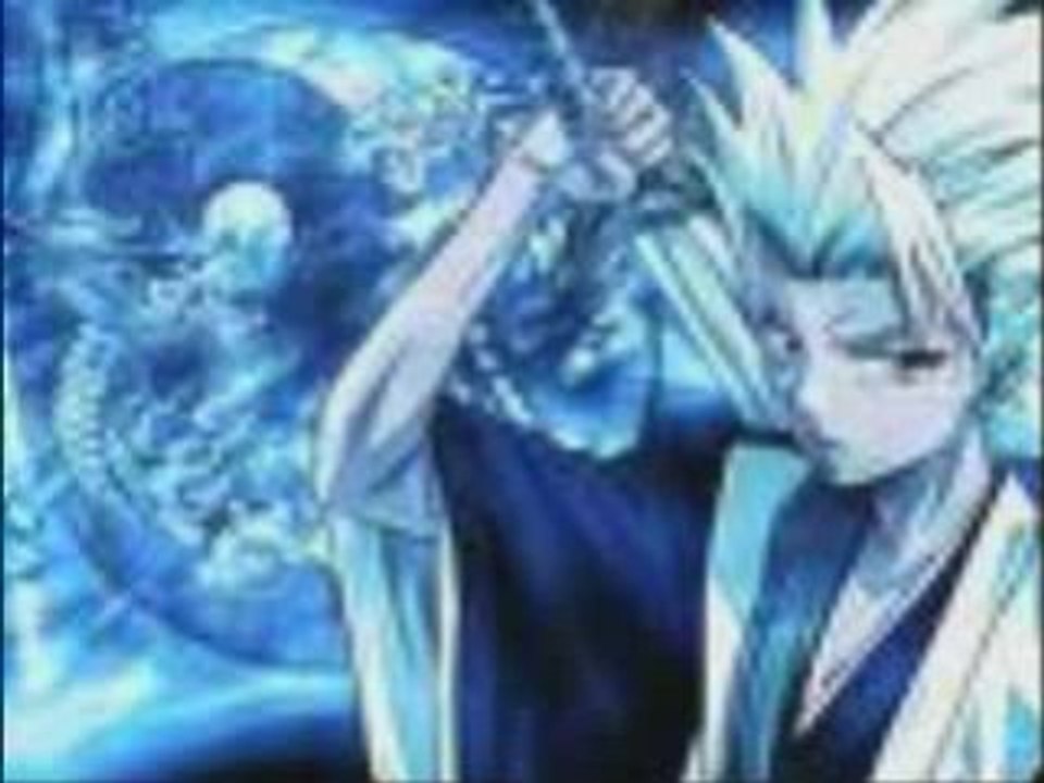 Captain du gotei 13 member