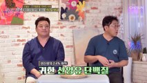 고지혈증&고혈압을 극복에 도움 준 산양유 단백질 TV CHOSUN 20221001 방송