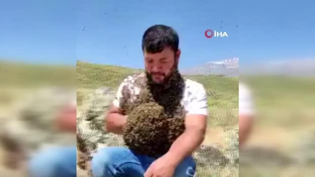 Görenler şaşkınlığını gizleyemiyor... Binlerce arıyı koruyucu kullanmadan vücudunda taşıyor