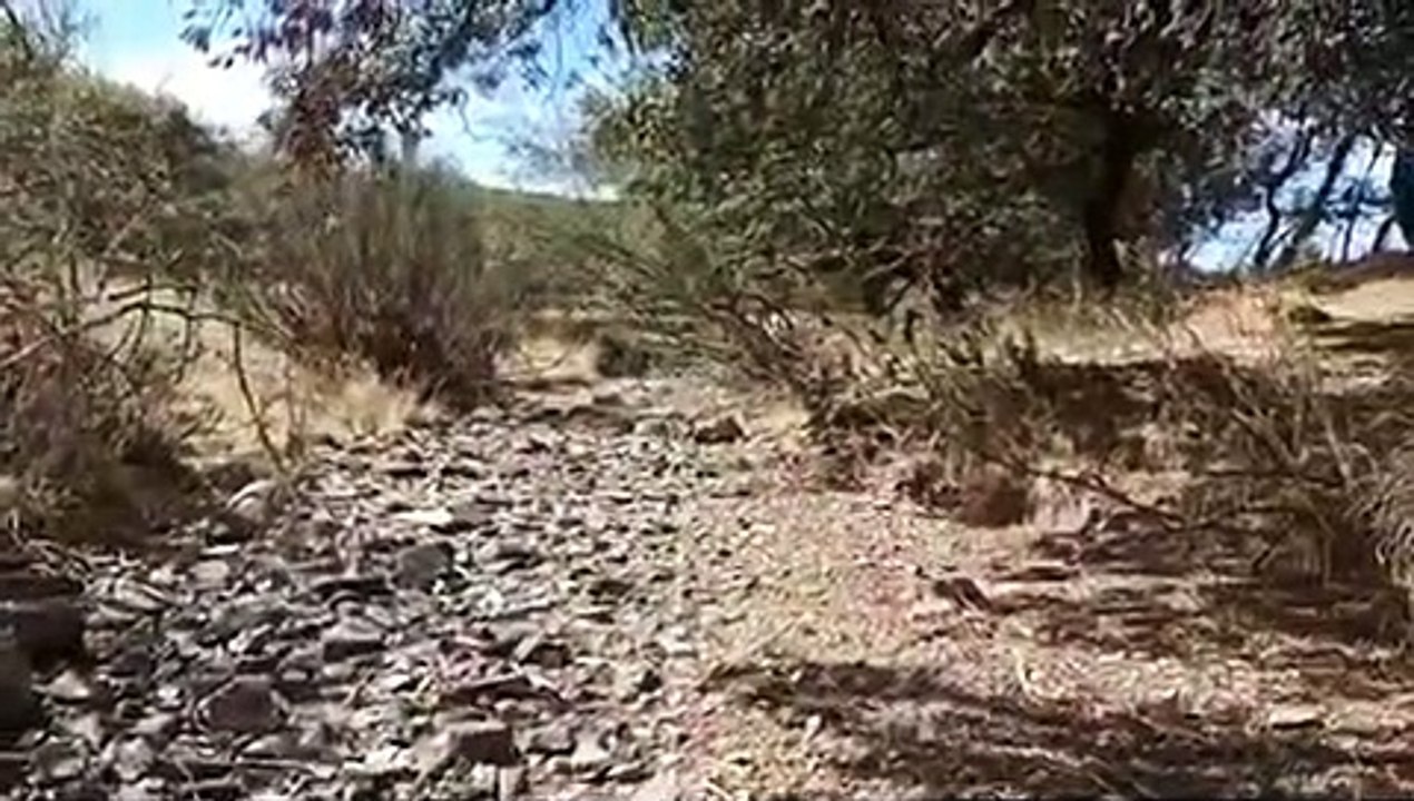 El arroyo Carabillo resurge con la llegada del Otoño