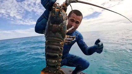 Can I Cook Giant Lobster On A Rock?