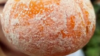 Tiktok Fruit video. Chinese fruits orange garden.