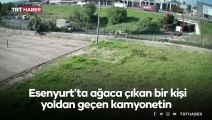 Ağaçta incir toplarken kamyonet çarptı