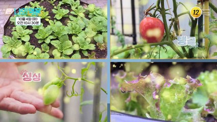 영웅의 건강에 무슨 문제가 있는걸까?_나의 영웅 7회 예고 TV CHOSUN 221004 방송