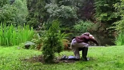 Men In Trees S02e01