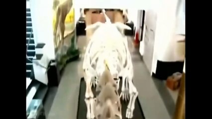 Rir é muito bom kk
