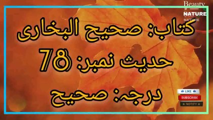 Sahih Bukhari Hadees No.78 Hadees Nabvi in Urdu  Bukhari Hadees  Beauty of NatureAR