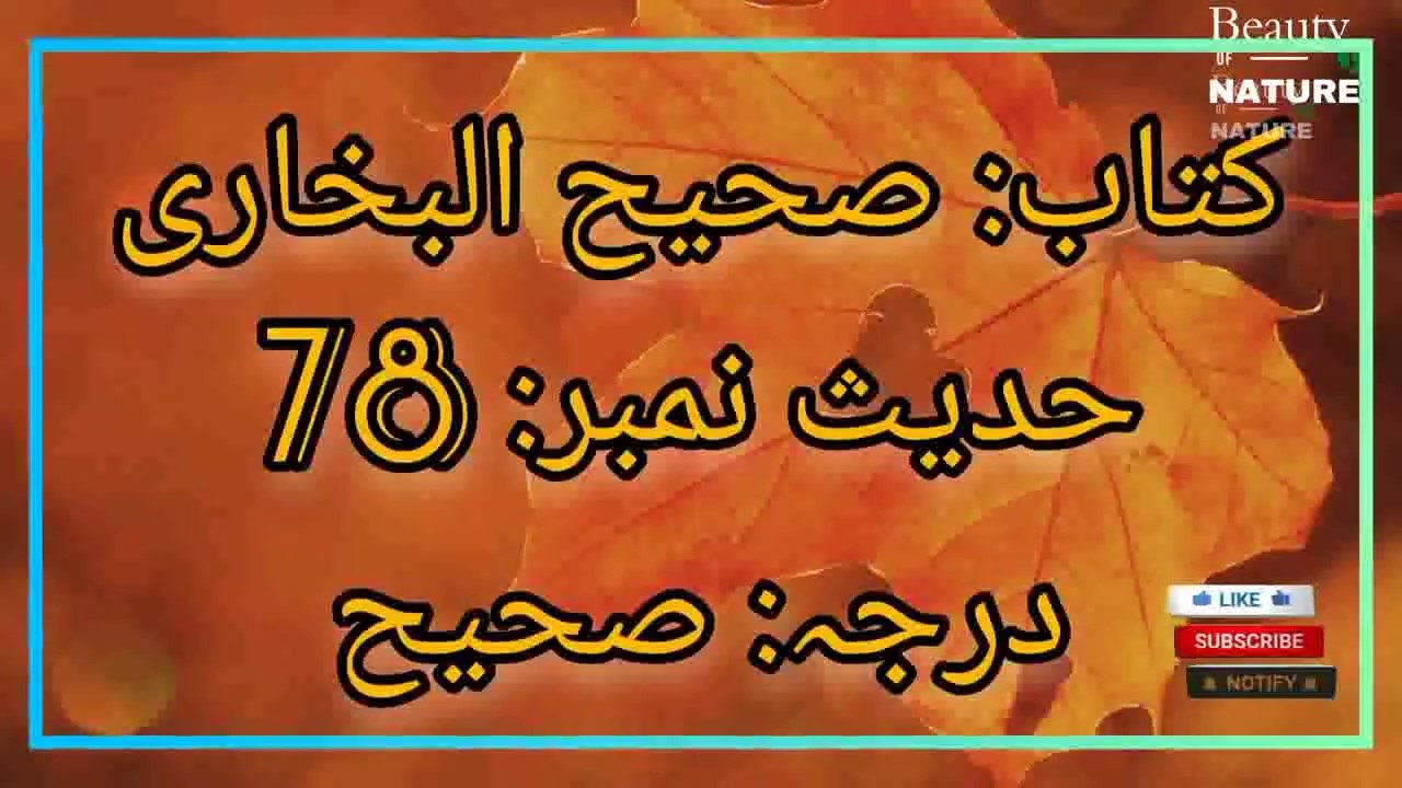Sahih Bukhari Hadees No.78 Hadees Nabvi in Urdu  Bukhari Hadees  Beauty of NatureAR