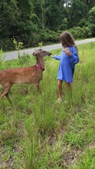Child Receives Swift Lesson in Deer Behavior