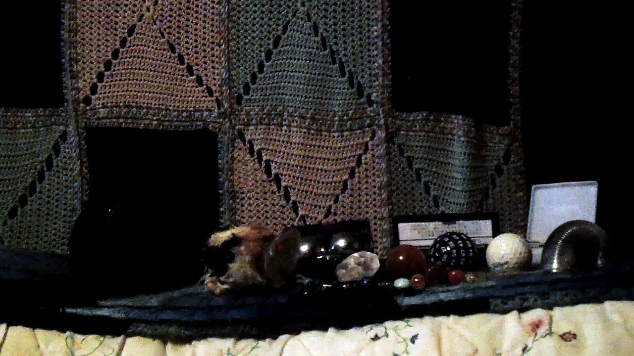 CAVIA PORCELLUS PIXIE 102_8669
