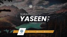 Surah Yaseen | Qari Tareq Mohammed | القارئ طارق محمد