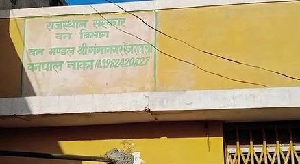 खनन रहे आरोपियों ने वनपाल को डंपर से कुचलने का किया प्रयास