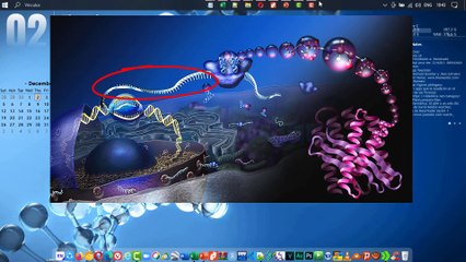 ✅ CAPPING y Poli Adenilación del ARN mensajero en Eucariotas - Curso de Biología Molecular