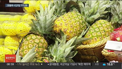 먹거리 물가 고공행진…고환율에 수입 과일값도 폭등