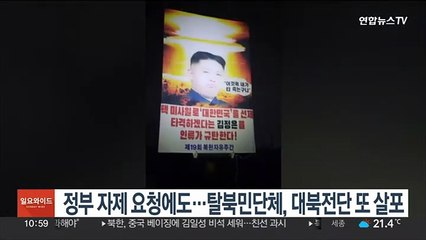 탈북민단체, 대북 전단 또 살포…경찰 연행 조사후 귀가