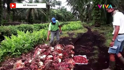 Indonesia Masuk Negara Termiskin di Dunia, Peringkat Berapa?