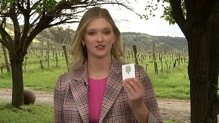 Canberra wineries get on board alcohol tracking initiative