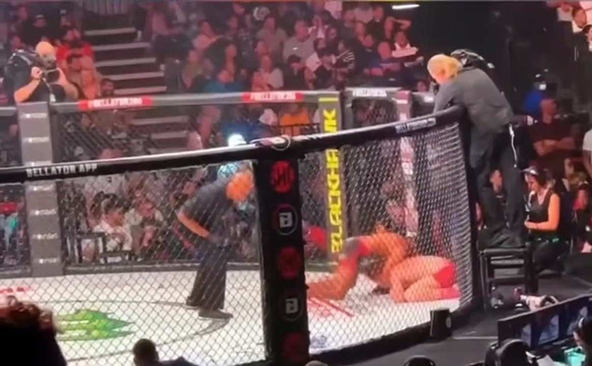 AJ MCKEE TEA BAGS SPIKE CARLYLE Bellator 286 video Dailymotion