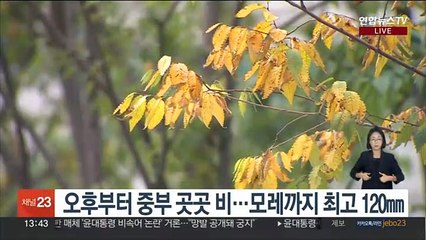 [날씨] 연휴 둘째 날 중부 곳곳 비…늦더위 누그러져