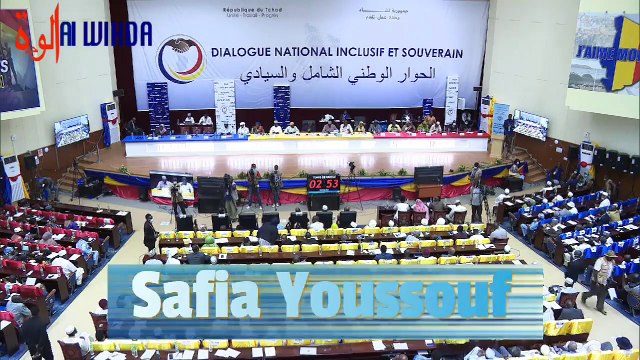 Safia Youssouf : il faut redorer le prestige de la fonction ministérielle (...) des entités sous tutelle ne rendent pas compte directement aux Ministres. Elles font ce qu'elles veulent. C'est ça qui est la conséquence de tous les maux décriés .