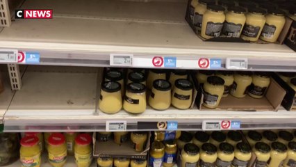 Pénurie de moutarde : la Bourgogne va doubler sa production de graines de moutarde