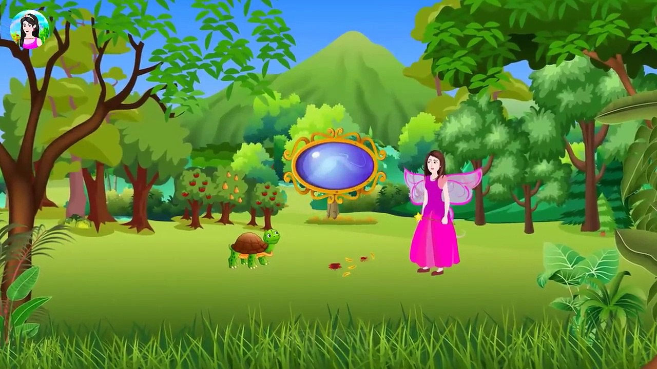নির্দোষ কচ্ছপ Notun Bangla Golpo Rupkothar Mojar Cartoon Golpo Fairy Tales Story Bird